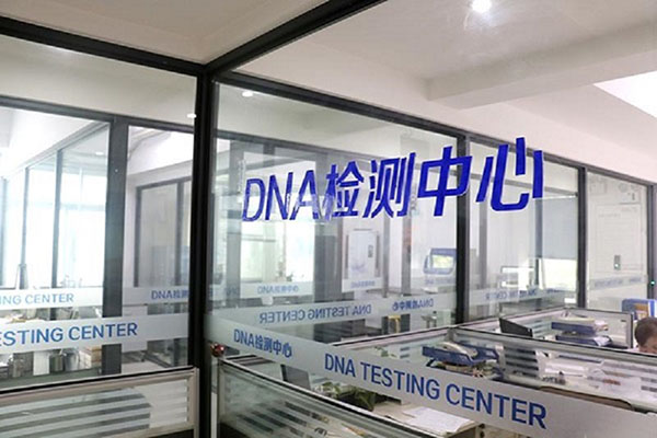 ̨DNAӼ